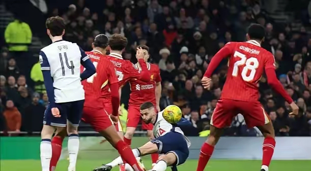 平台-包含里昂战平热刺，范戴克扑点救主欧冠的词条