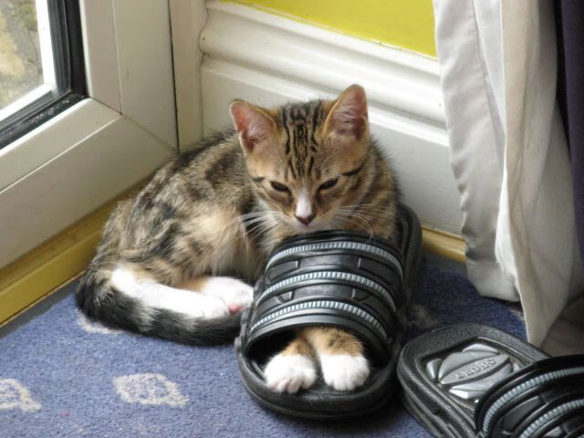 体育登录-从落后22分到惊天逆转！爱德华兹关键时刻的王者气质拯救76人